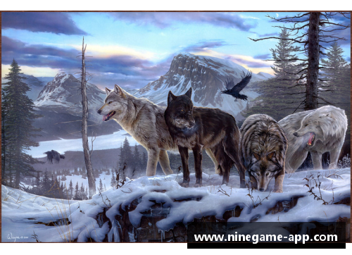 森林狼现役阵容：新一代狼群的崛起